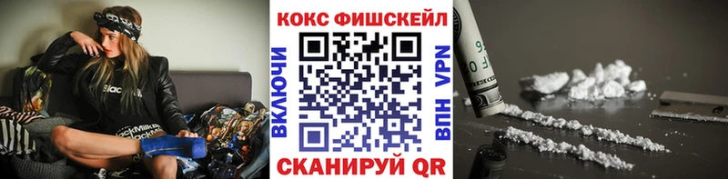 купить закладку  Нижний Новгород  Cocaine FishScale 