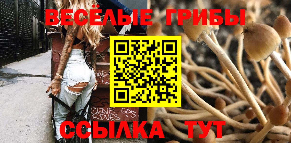 закладка  Галлюциногенные грибы прущие грибы  Вход с VPN  Нижний Новгород 
