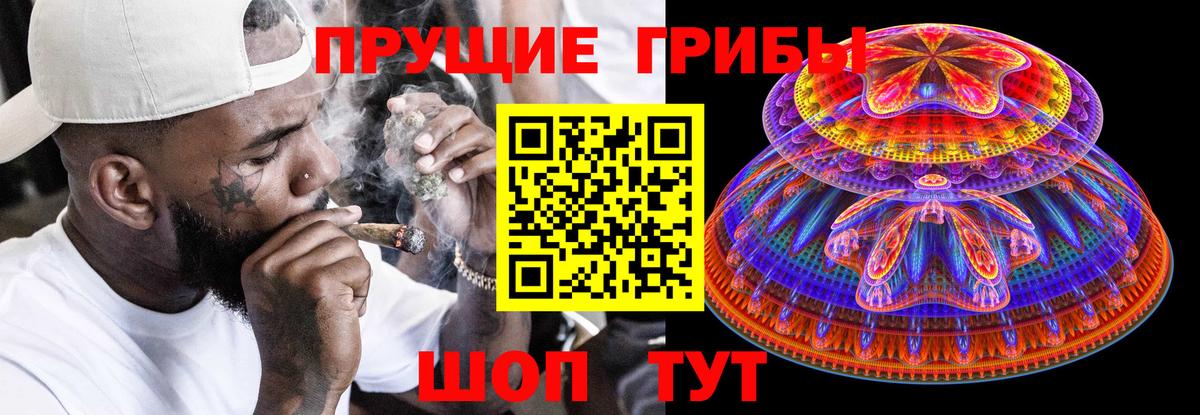 Галлюциногенные грибы GOLDEN TEACHER Нижний Новгород