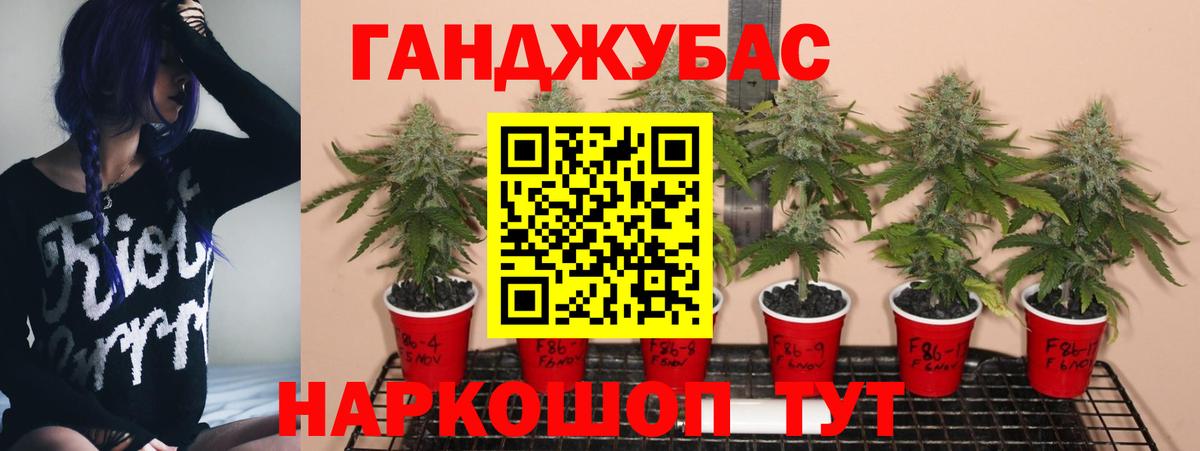 Бошки Шишки Ganja  Вход с VPN  Нижний Новгород  Бошки Шишки конопля 